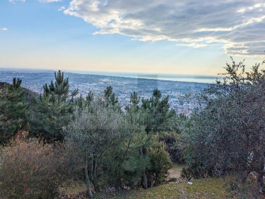 casa indipendente in vendita a Pietrasanta in zona Capriglia