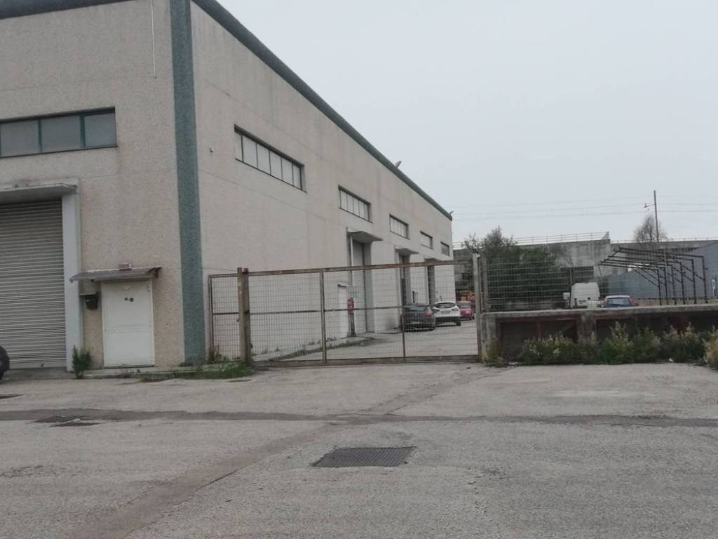 immagine annuncio 1 di 3