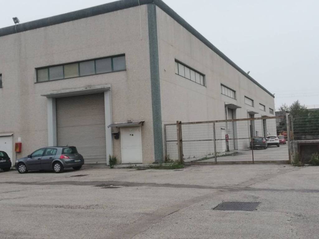 immagine annuncio 2 di 3