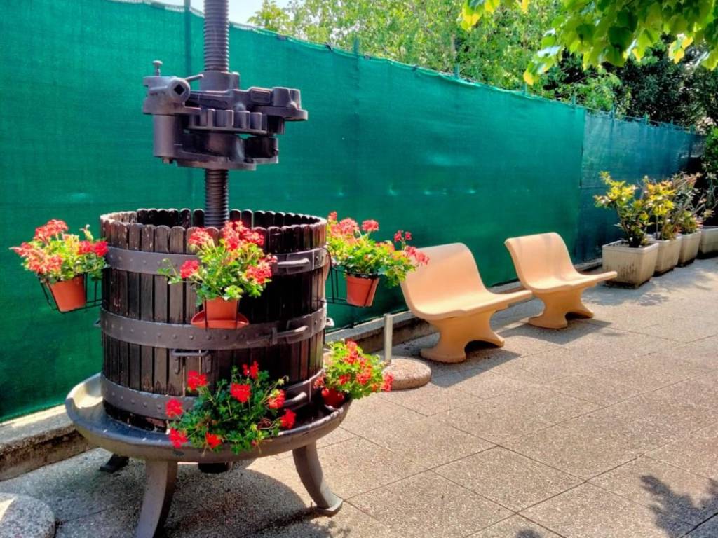 immagine annuncio 3 di 5