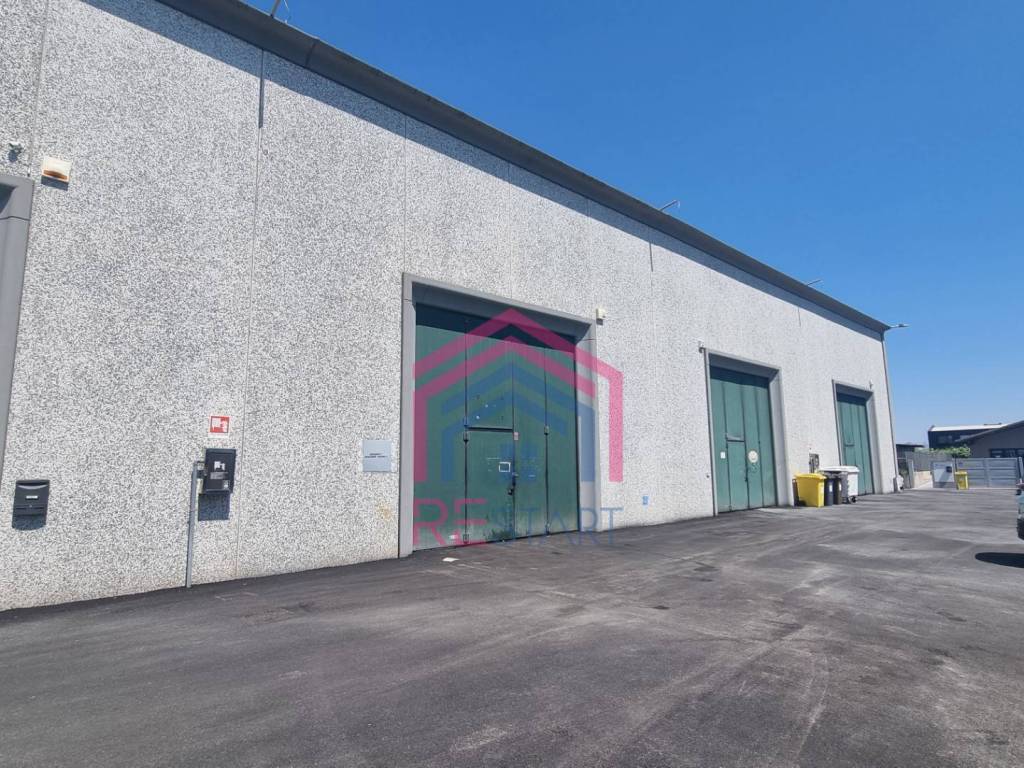 immagine annuncio 2 di 5