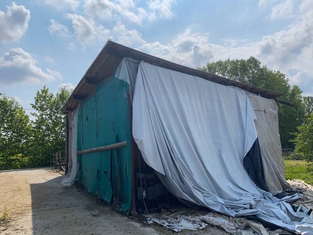 immagine annuncio 3 di 5