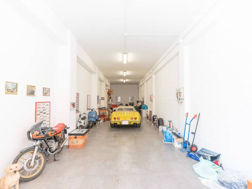 immagine annuncio 1 di 5