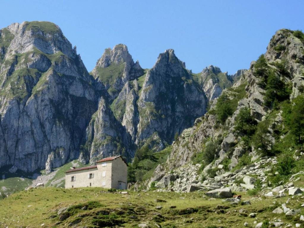 immagine annuncio 1 di 5