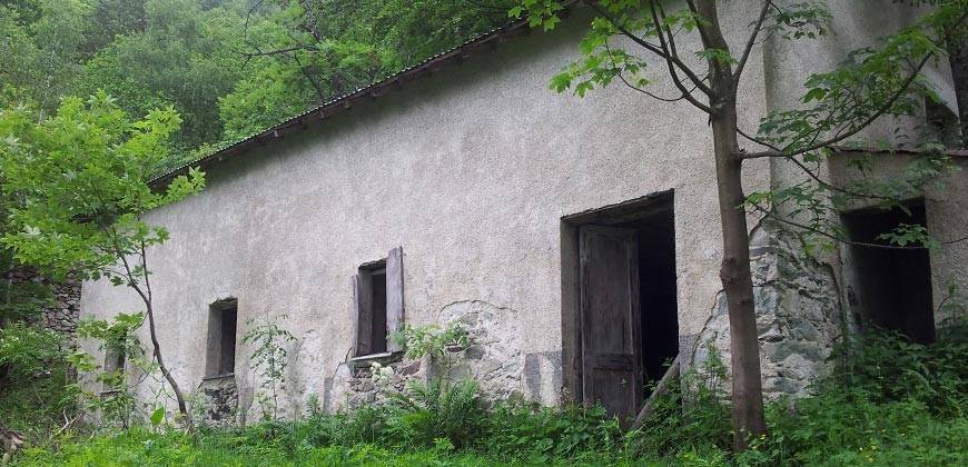 immagine annuncio 3 di 5