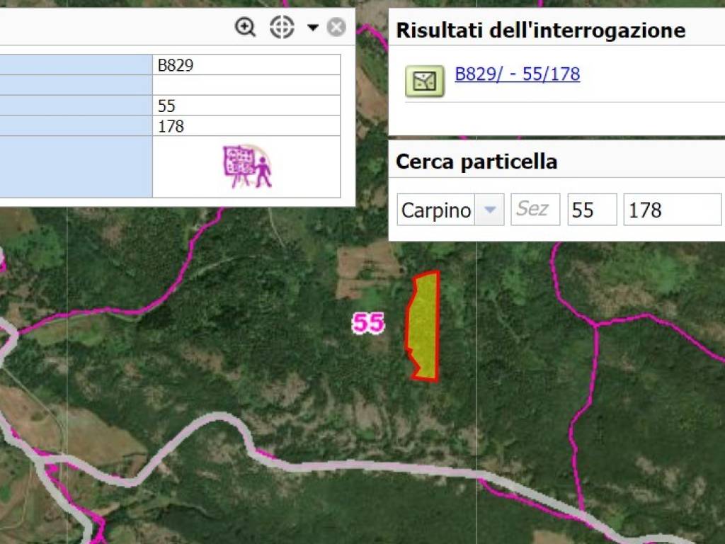 immagine annuncio 2 di 5
