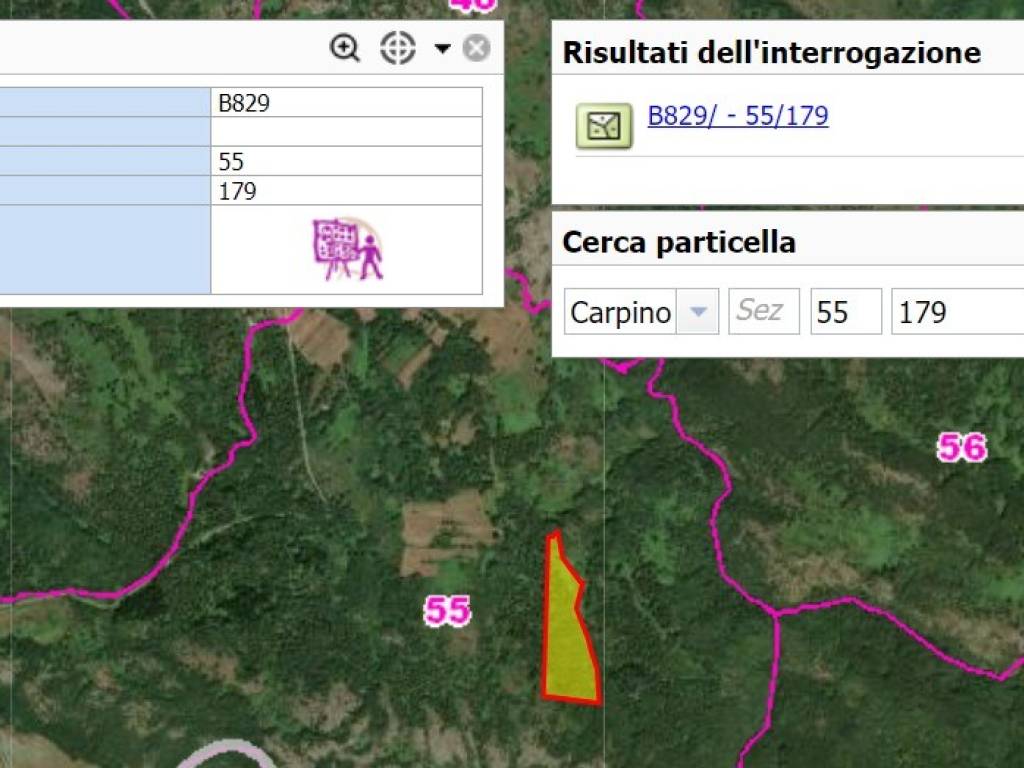 immagine annuncio 3 di 5