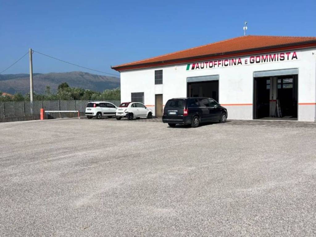 immagine annuncio 2 di 5