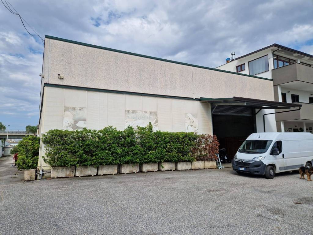 immagine annuncio 4 di 5