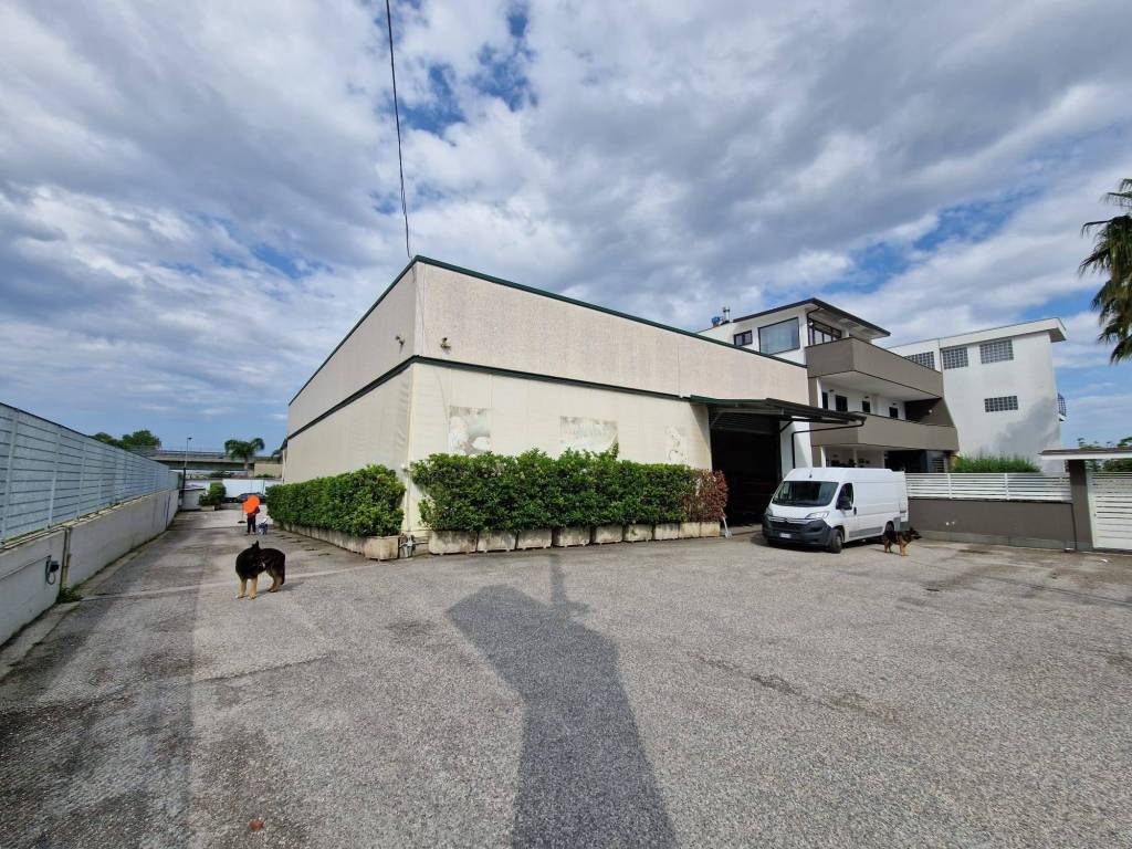 immagine annuncio 2 di 5