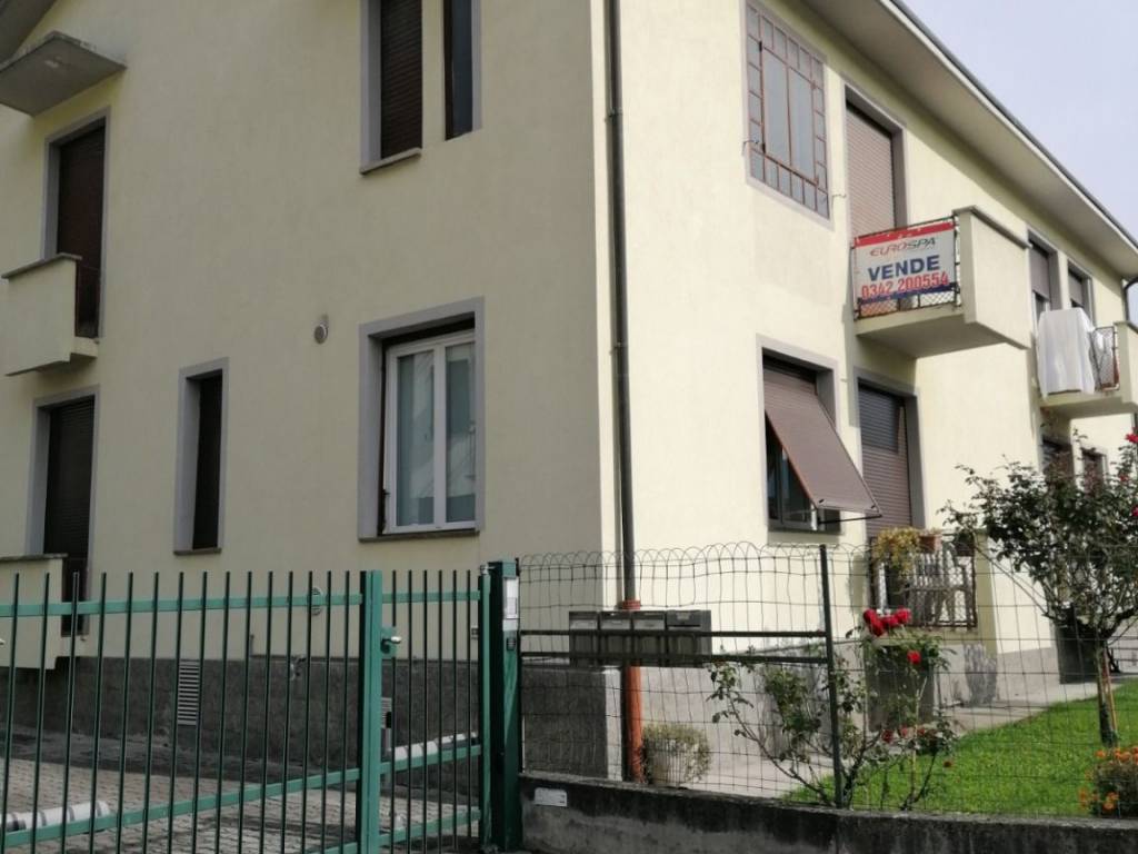 immagine annuncio 1 di 4