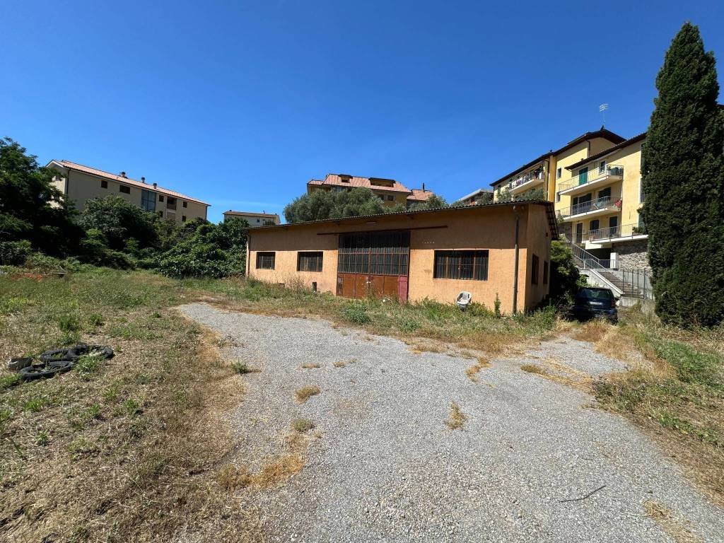 immagine annuncio 2 di 5
