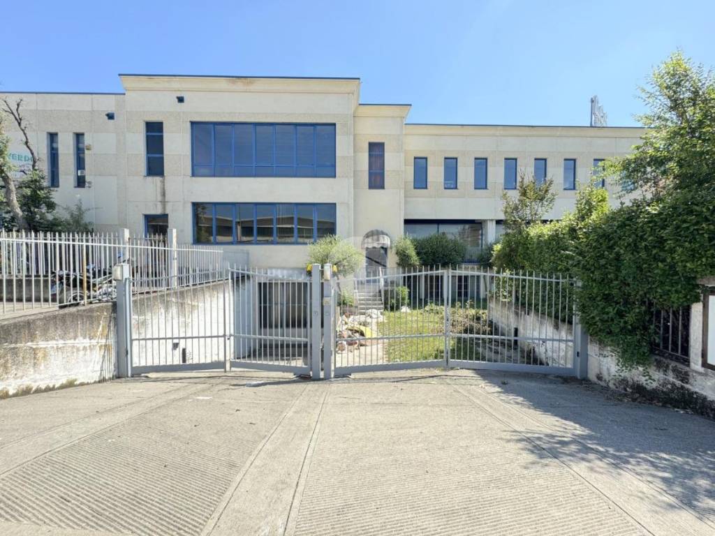 immagine annuncio 4 di 5