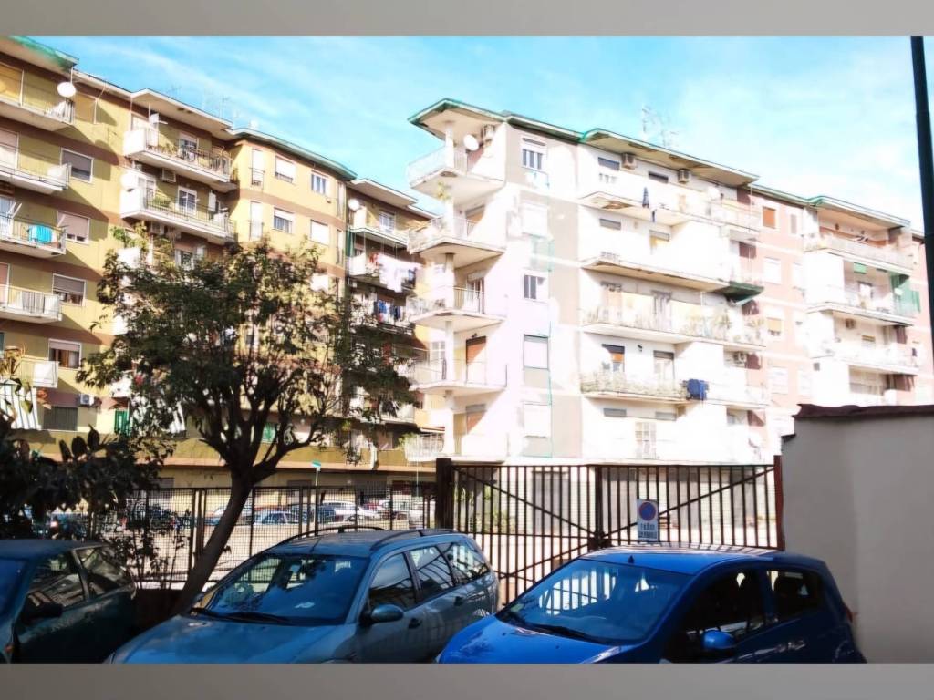 immagine annuncio 2 di 4