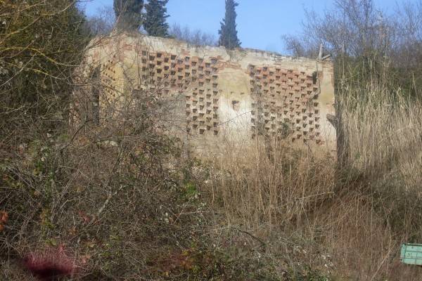 immagine annuncio 1 di 2