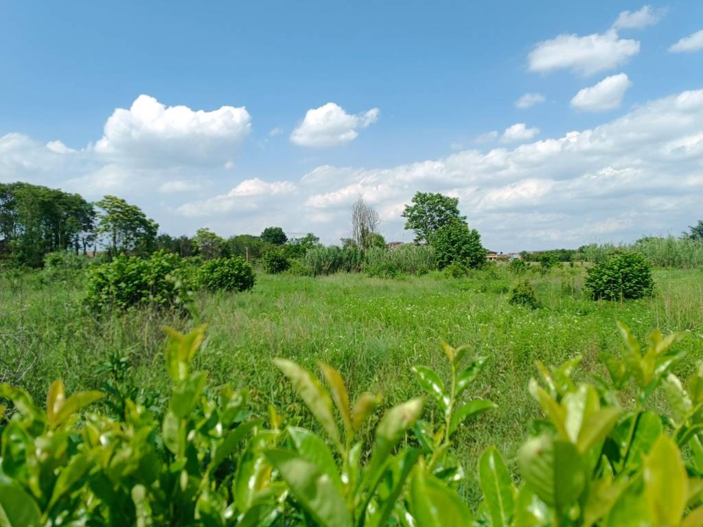 immagine annuncio 1 di 4