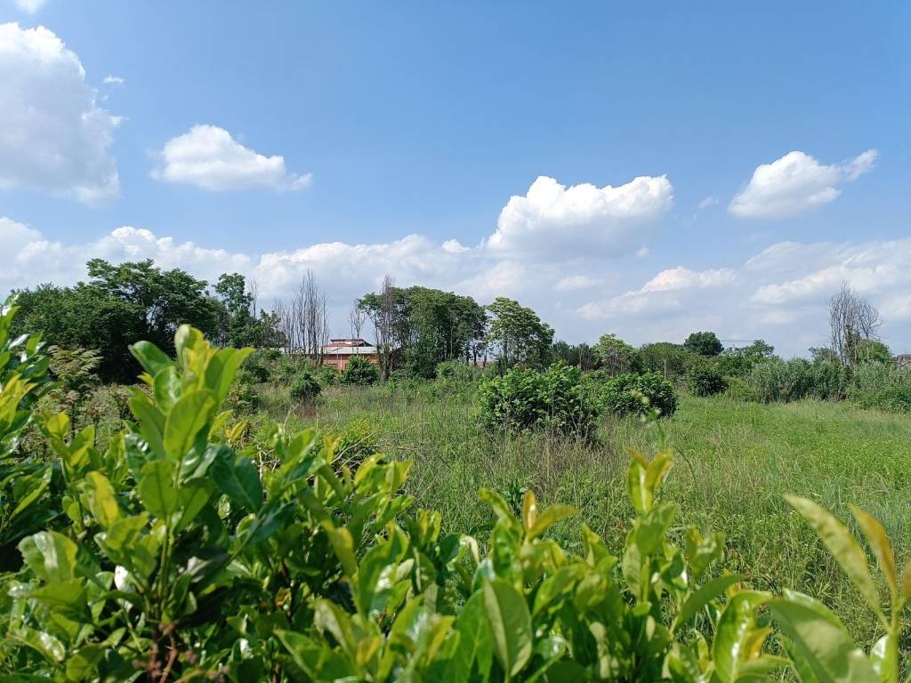 immagine annuncio 2 di 4