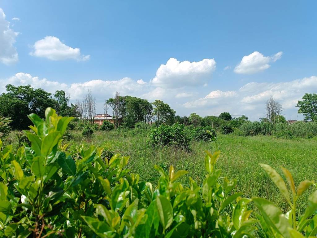 immagine annuncio 3 di 4