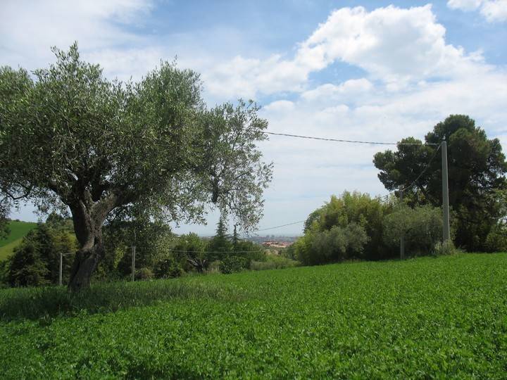 immagine annuncio 1 di 2