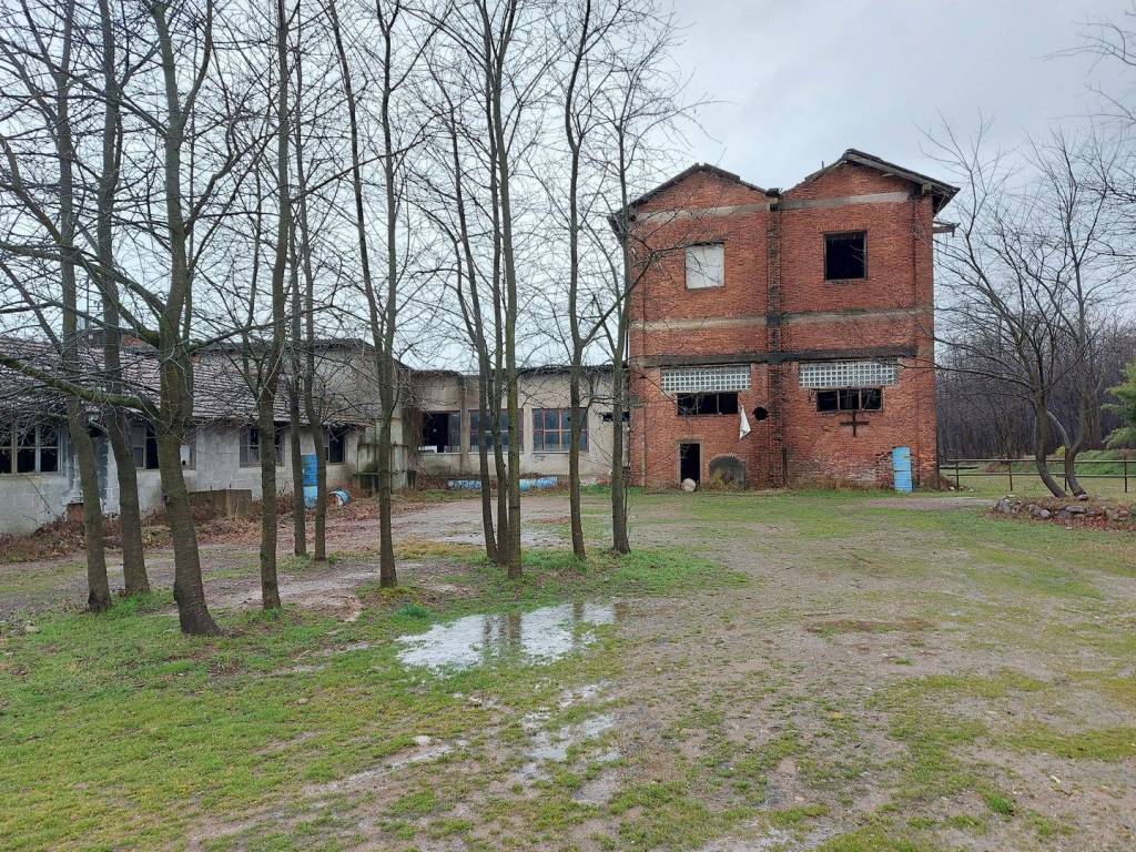 immagine annuncio 4 di 5