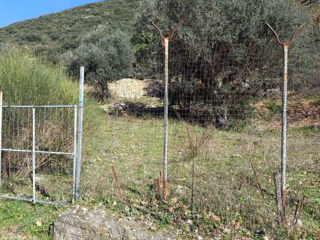 immagine annuncio 1 di 2