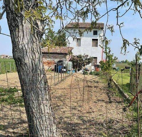 immagine annuncio 3 di 4