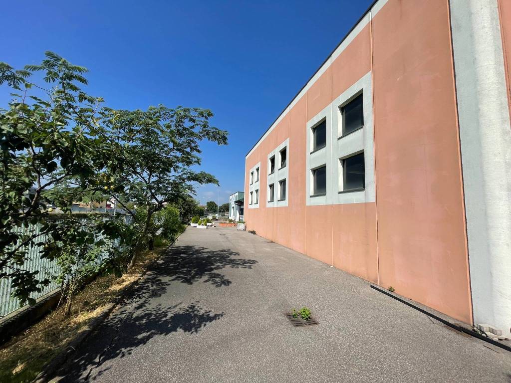 immagine annuncio 2 di 5