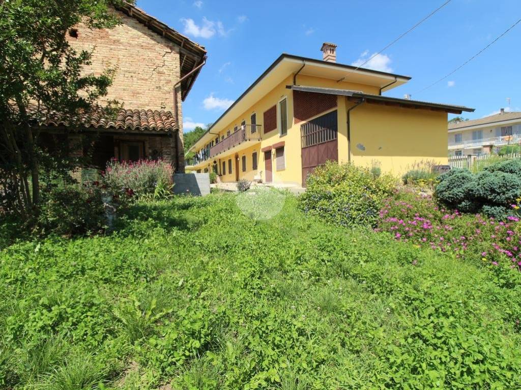 immagine annuncio 4 di 5