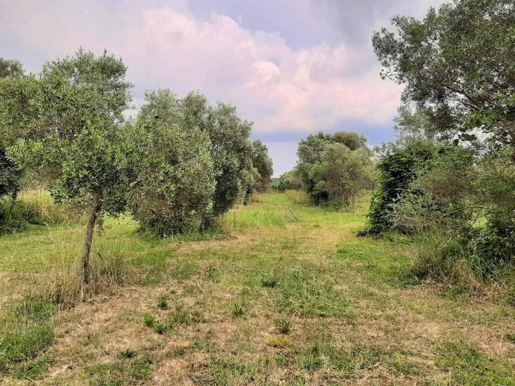 immagine annuncio 1 di 3