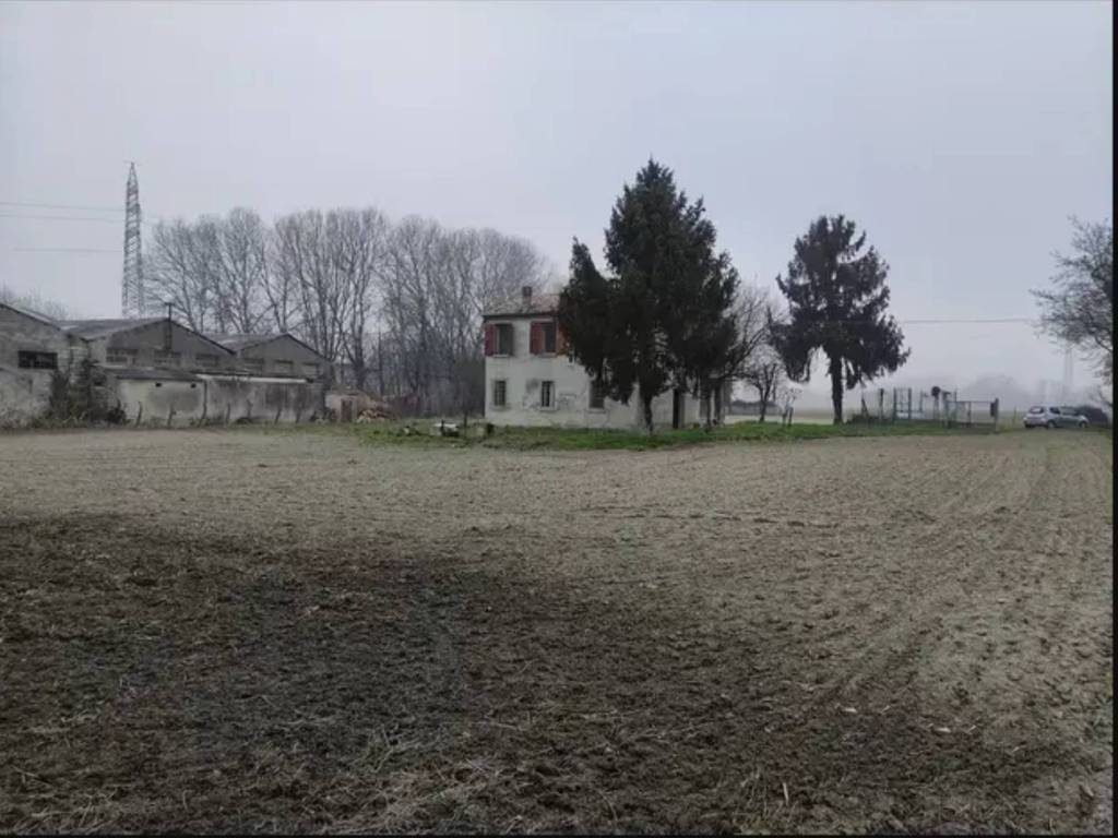 immagine annuncio 2 di 4