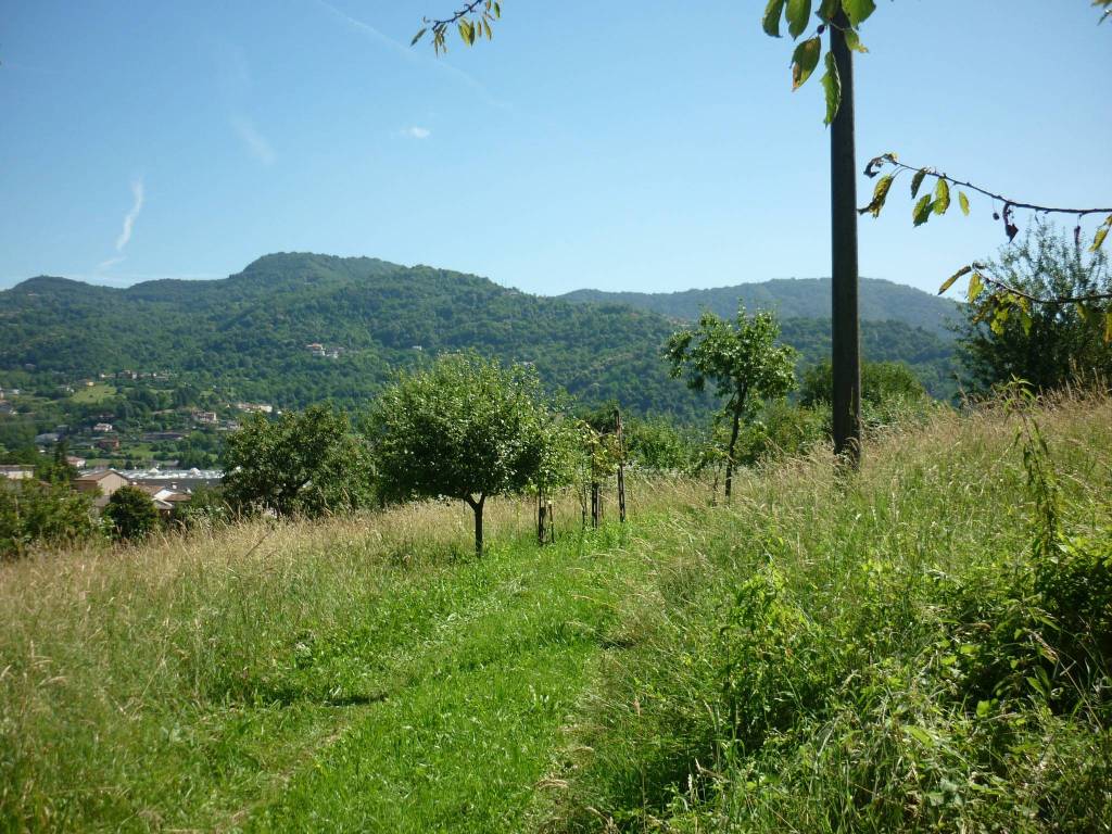 immagine annuncio 2 di 4
