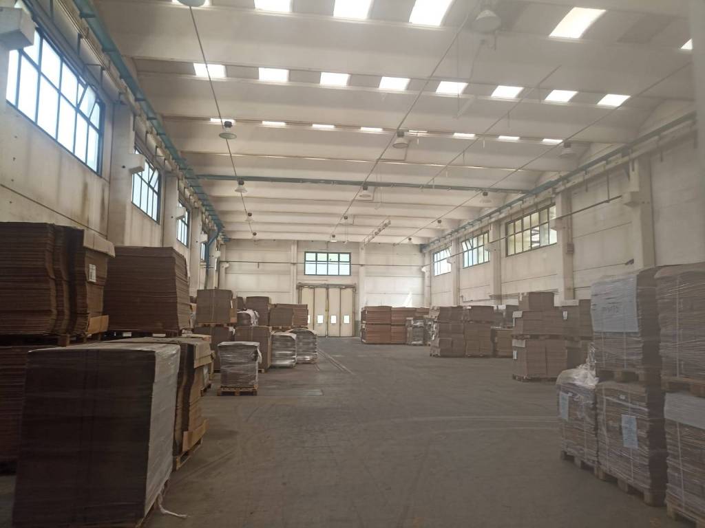 immagine annuncio 3 di 5