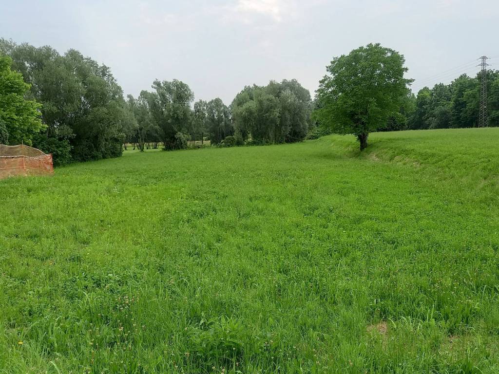 immagine annuncio 1 di 4