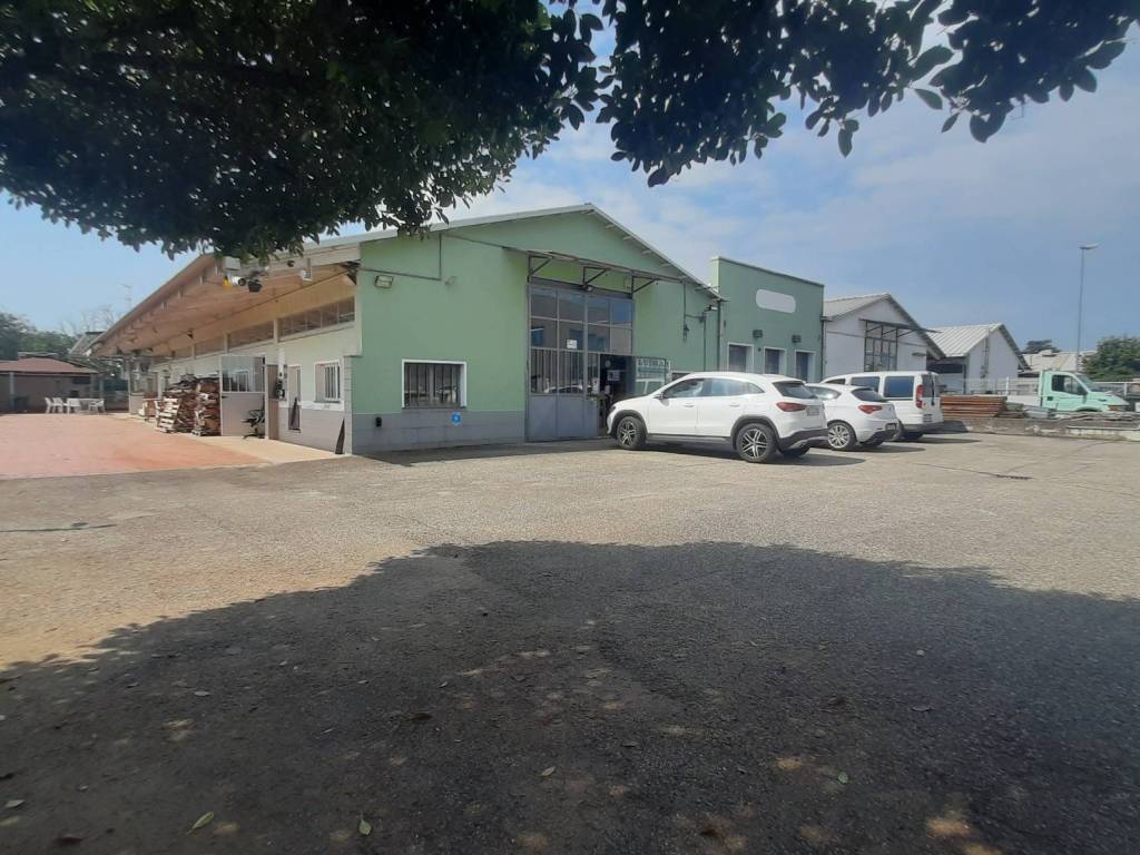 immagine annuncio 2 di 5