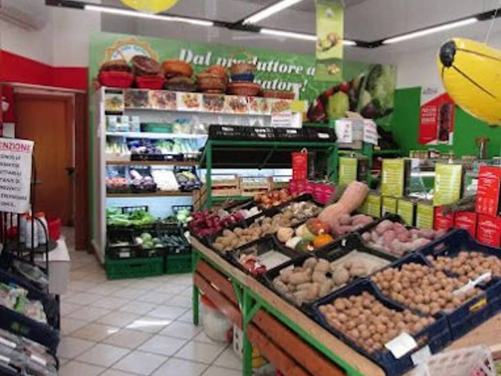 immagine annuncio 1 di 4