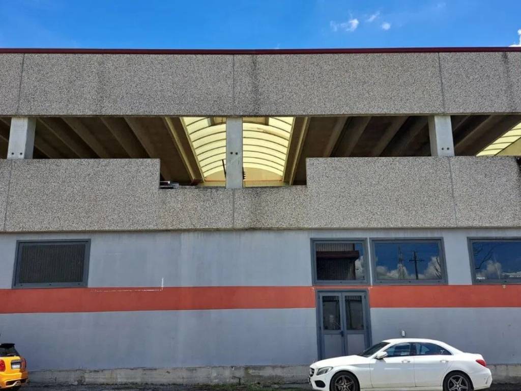 immagine annuncio 2 di 5