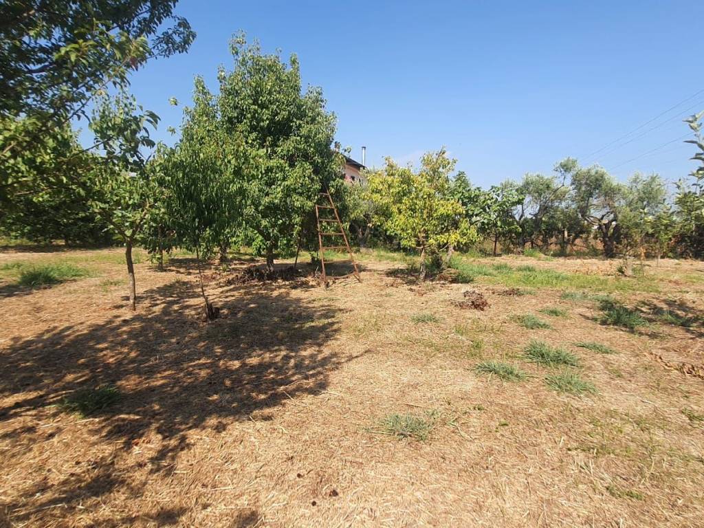 immagine annuncio 1 di 3