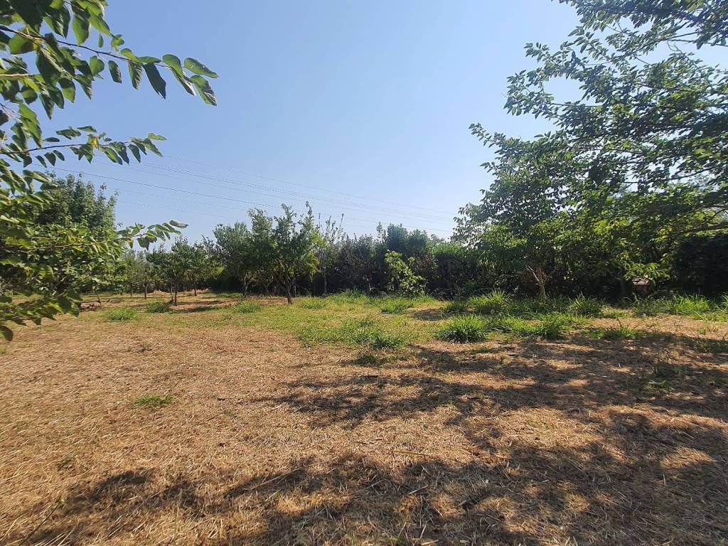 immagine annuncio 2 di 3