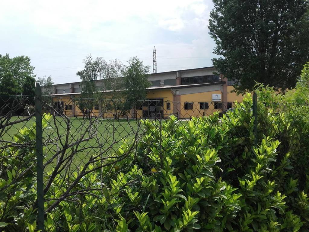 immagine annuncio 3 di 5