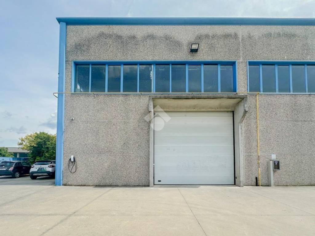 immagine annuncio 3 di 5