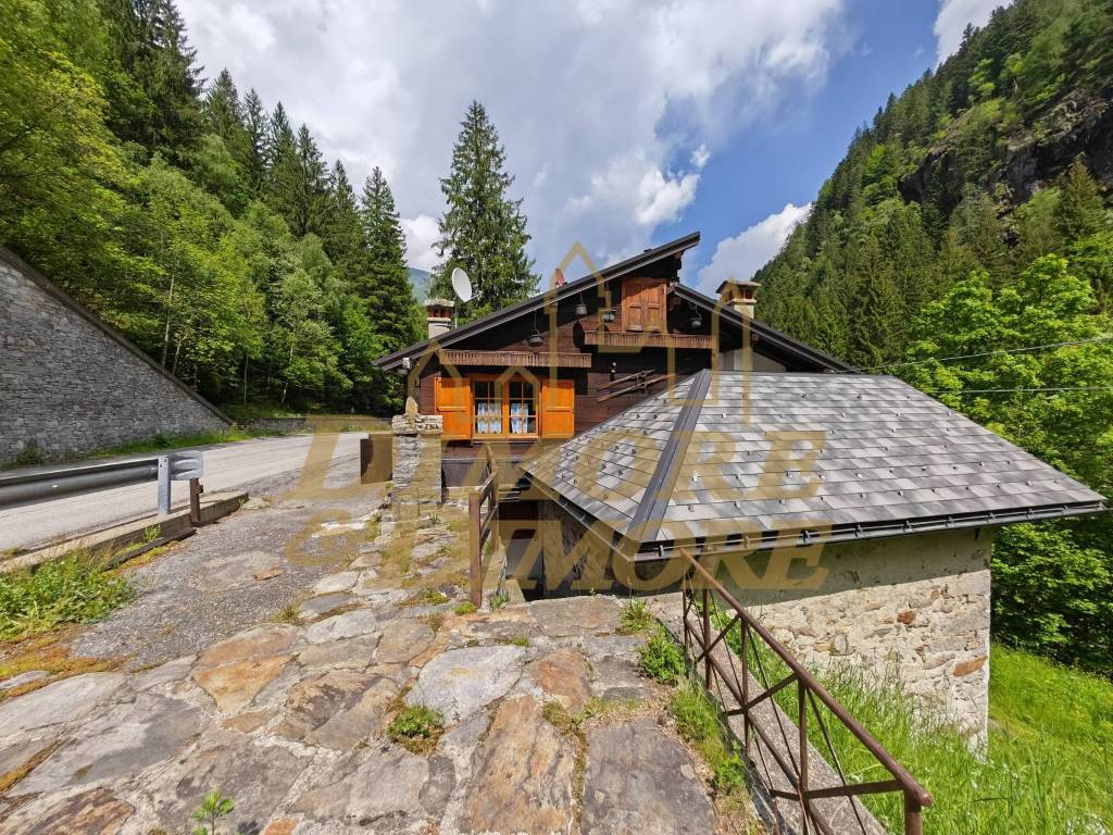 immagine annuncio 2 di 5