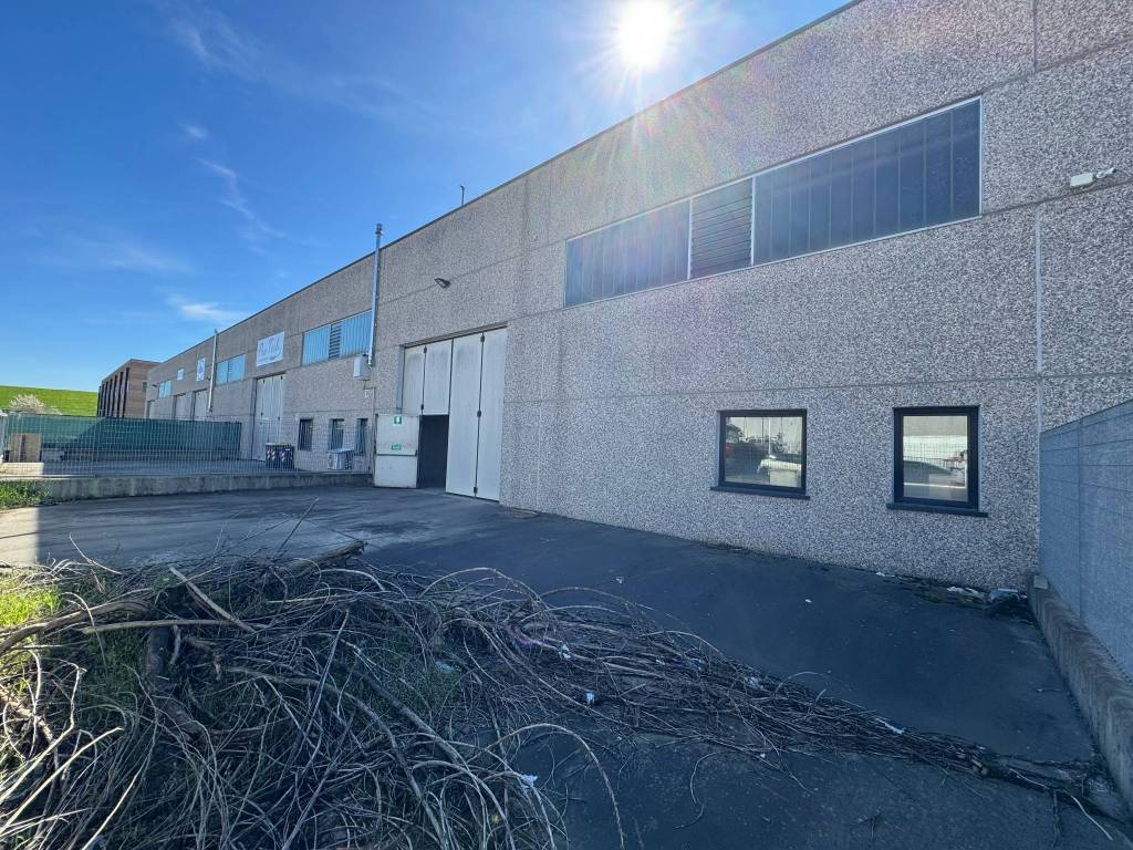 immagine annuncio 2 di 5