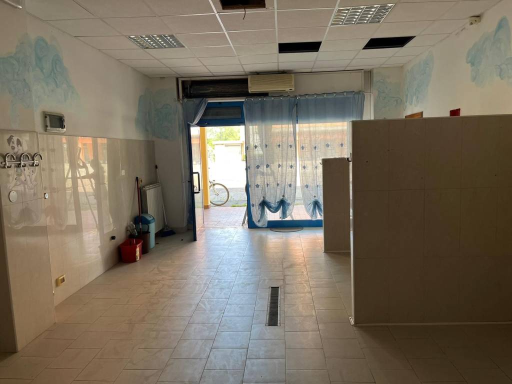 immagine annuncio 1 di 2