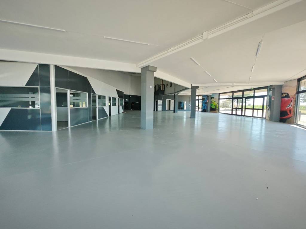 immagine annuncio 1 di 5