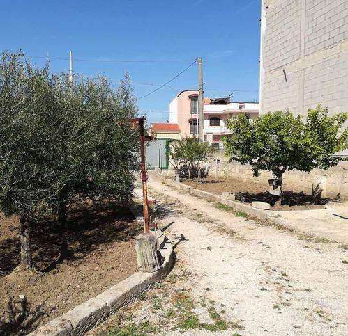 immagine annuncio 1 di 3