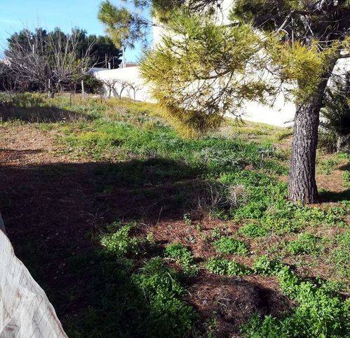 immagine annuncio 1 di 4