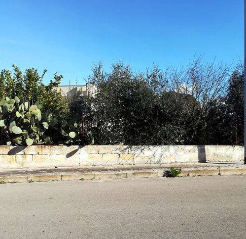 immagine annuncio 3 di 4