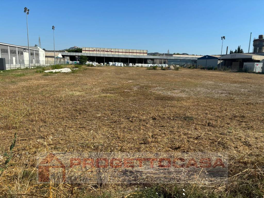 immagine annuncio 3 di 4