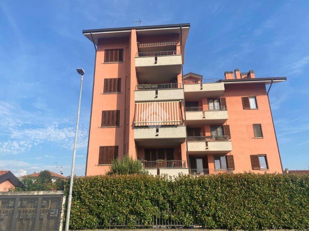 immagine annuncio 3 di 5