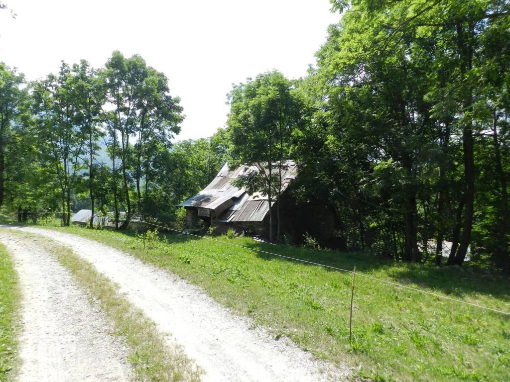 immagine annuncio 1 di 4